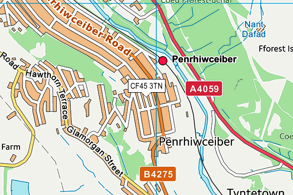 CF45 3TN map - OS VectorMap District (Ordnance Survey)