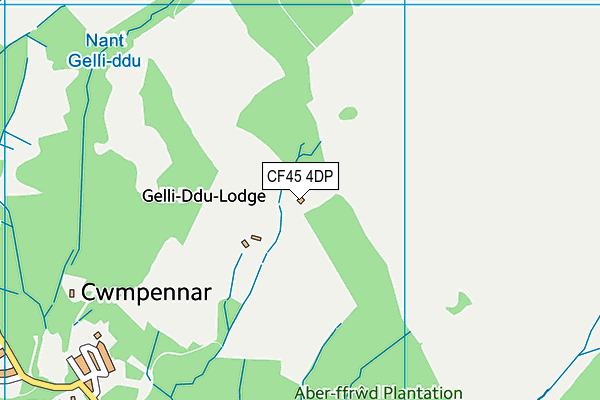 CF45 4DP map - OS VectorMap District (Ordnance Survey)