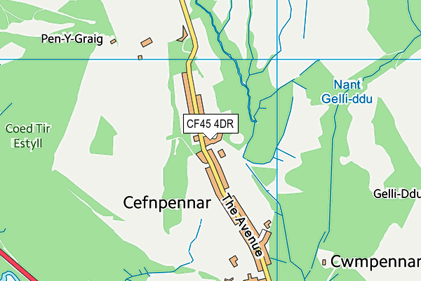 CF45 4DR map - OS VectorMap District (Ordnance Survey)