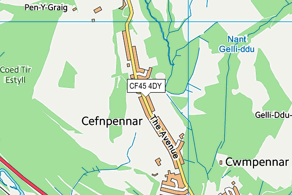 CF45 4DY map - OS VectorMap District (Ordnance Survey)