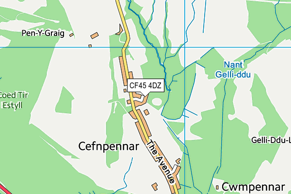 CF45 4DZ map - OS VectorMap District (Ordnance Survey)