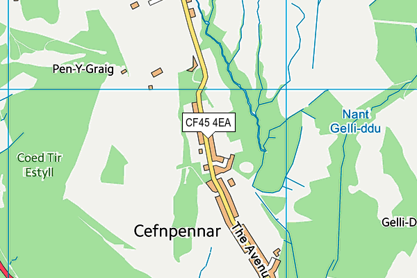 CF45 4EA map - OS VectorMap District (Ordnance Survey)