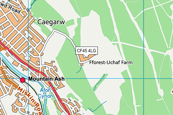 CF45 4LG map - OS VectorMap District (Ordnance Survey)