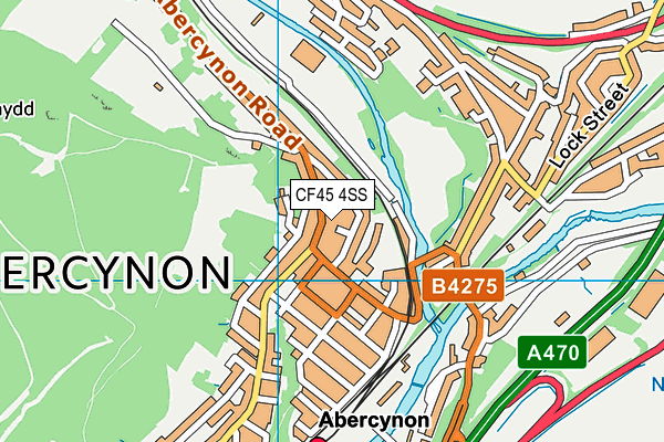 CF45 4SS map - OS VectorMap District (Ordnance Survey)