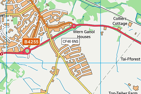 CF46 6NS map - OS VectorMap District (Ordnance Survey)