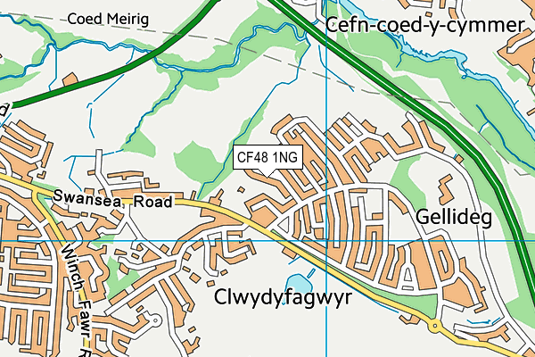 CF48 1NG map - OS VectorMap District (Ordnance Survey)