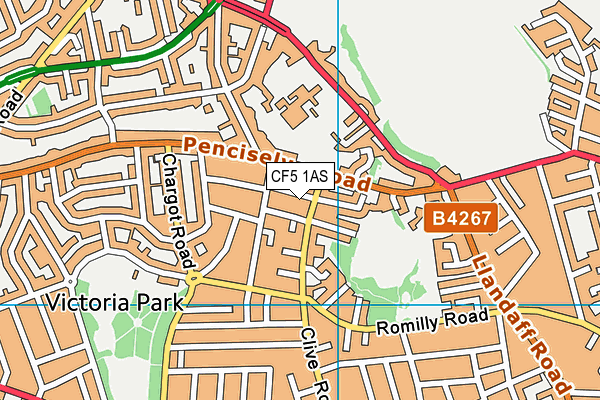 CF5 1AS map - OS VectorMap District (Ordnance Survey)