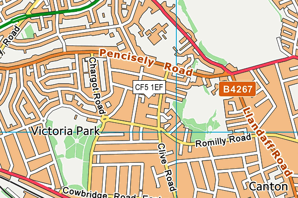 CF5 1EF map - OS VectorMap District (Ordnance Survey)