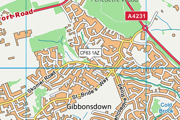 CF63 1AZ map - OS VectorMap District (Ordnance Survey)