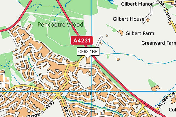 CF63 1BP map - OS VectorMap District (Ordnance Survey)