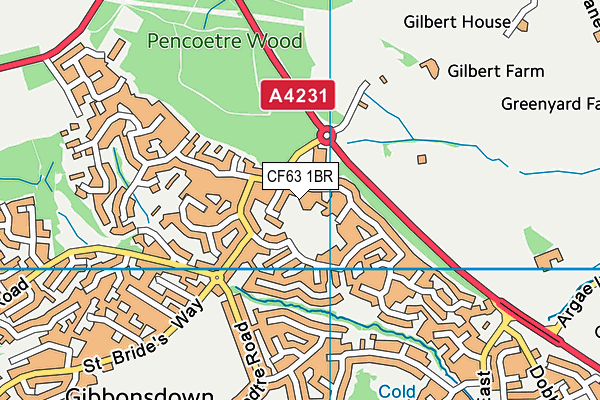 CF63 1BR map - OS VectorMap District (Ordnance Survey)