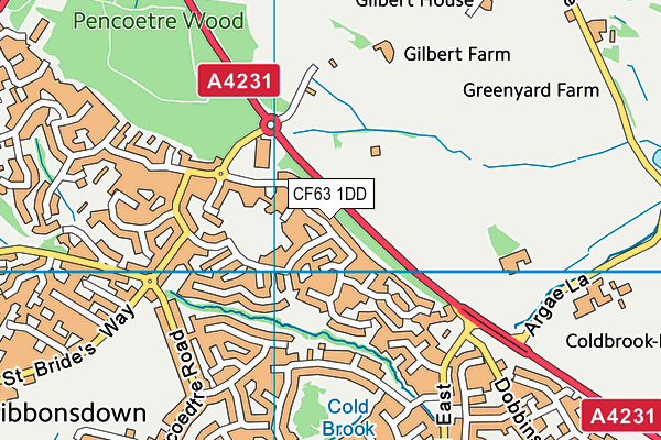 CF63 1DD map - OS VectorMap District (Ordnance Survey)