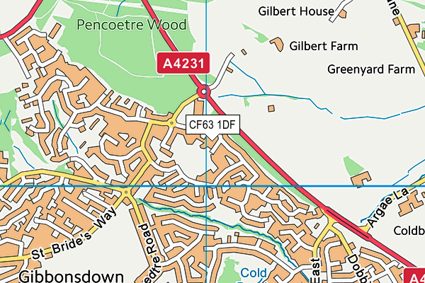 CF63 1DF map - OS VectorMap District (Ordnance Survey)