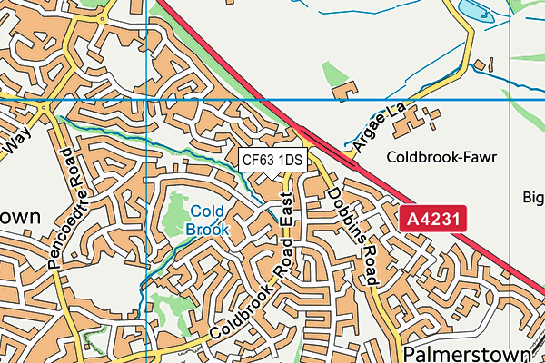 CF63 1DS map - OS VectorMap District (Ordnance Survey)