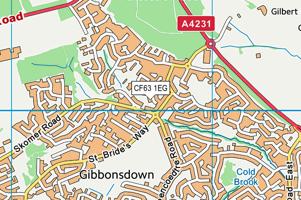 CF63 1EG map - OS VectorMap District (Ordnance Survey)