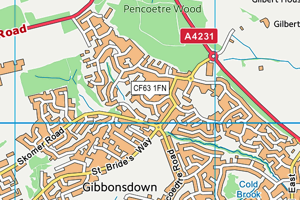 CF63 1FN map - OS VectorMap District (Ordnance Survey)