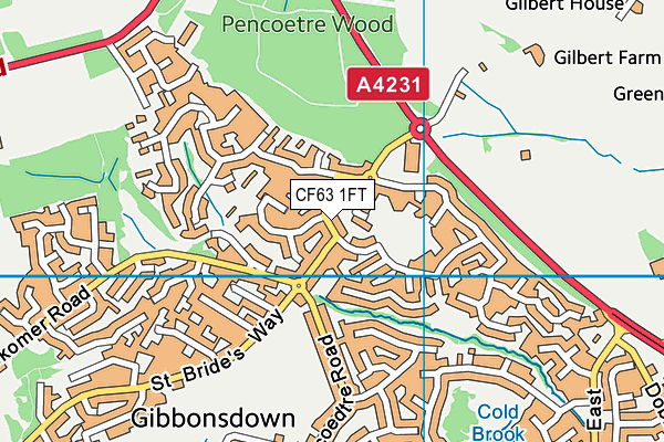 CF63 1FT map - OS VectorMap District (Ordnance Survey)