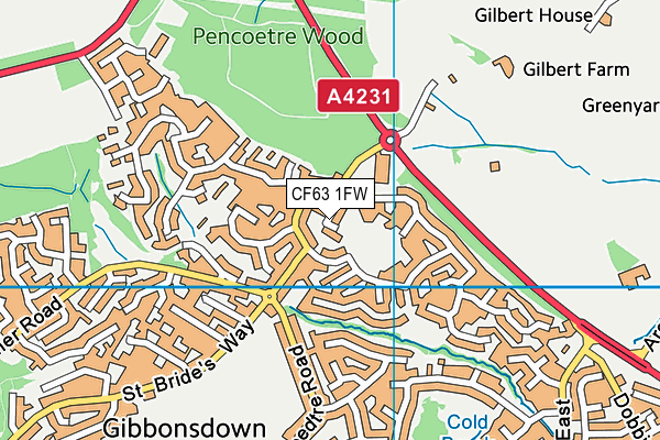 CF63 1FW map - OS VectorMap District (Ordnance Survey)