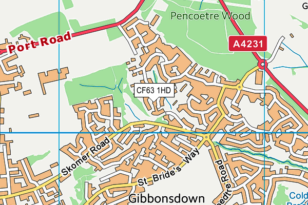 CF63 1HD map - OS VectorMap District (Ordnance Survey)