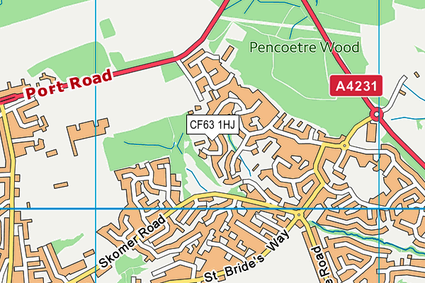 CF63 1HJ map - OS VectorMap District (Ordnance Survey)