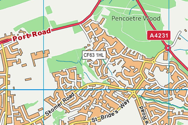 CF63 1HL map - OS VectorMap District (Ordnance Survey)