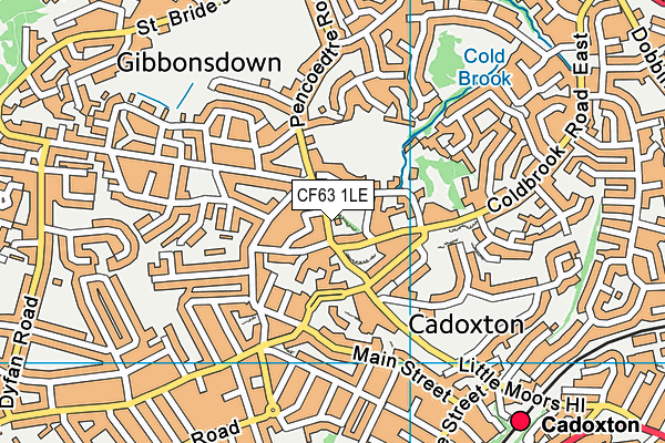 CF63 1LE map - OS VectorMap District (Ordnance Survey)