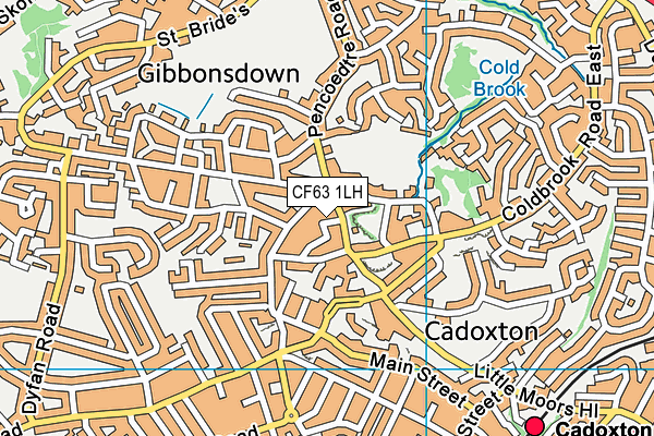 CF63 1LH map - OS VectorMap District (Ordnance Survey)