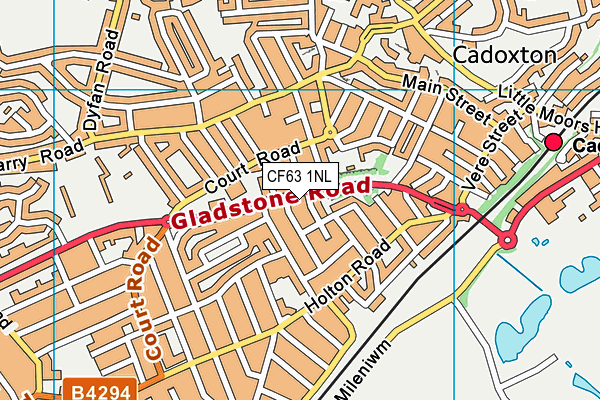 CF63 1NL map - OS VectorMap District (Ordnance Survey)