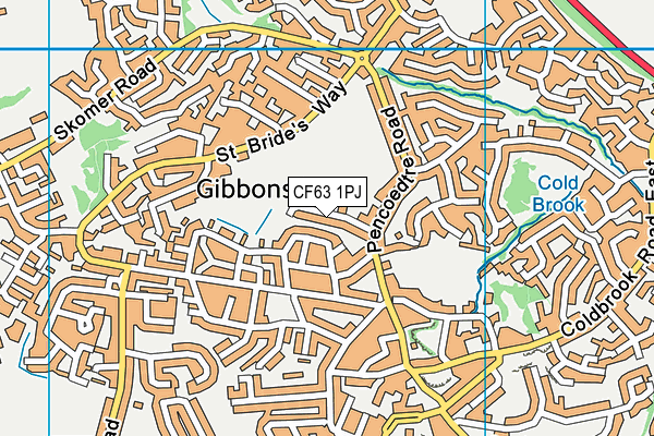 CF63 1PJ map - OS VectorMap District (Ordnance Survey)