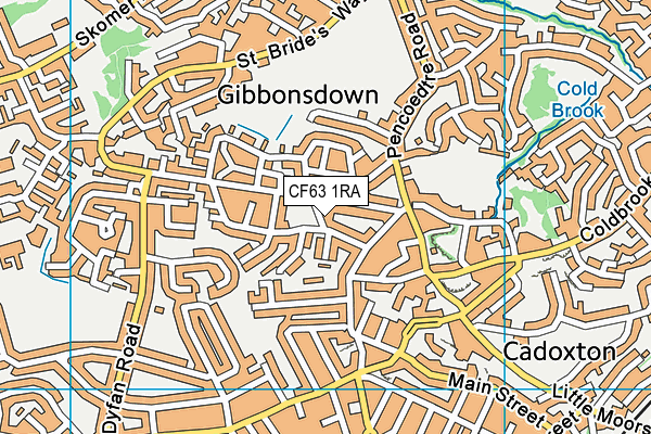 CF63 1RA map - OS VectorMap District (Ordnance Survey)