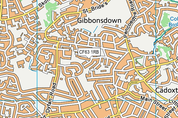 CF63 1RB map - OS VectorMap District (Ordnance Survey)