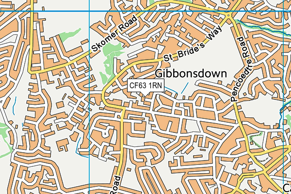 CF63 1RN map - OS VectorMap District (Ordnance Survey)