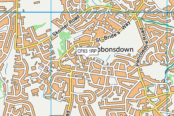 CF63 1RP map - OS VectorMap District (Ordnance Survey)