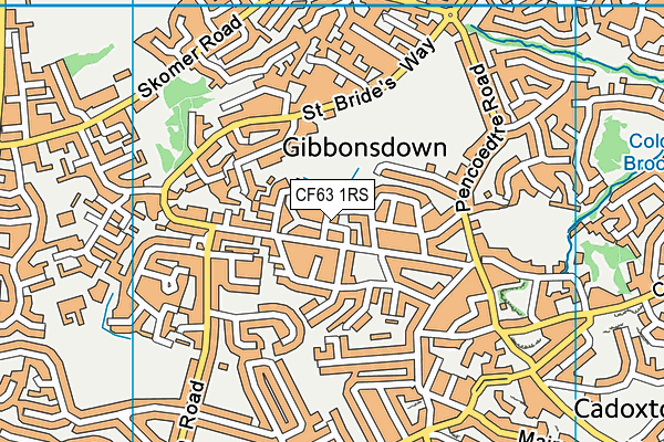 CF63 1RS map - OS VectorMap District (Ordnance Survey)