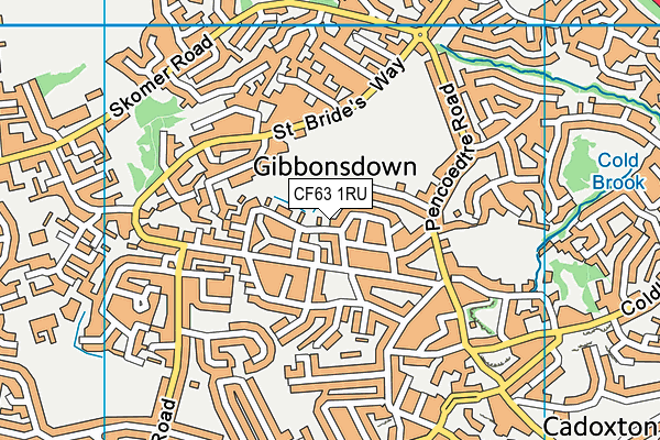 CF63 1RU map - OS VectorMap District (Ordnance Survey)