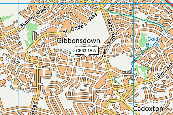 CF63 1RW map - OS VectorMap District (Ordnance Survey)