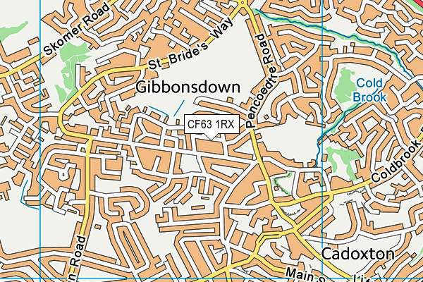 CF63 1RX map - OS VectorMap District (Ordnance Survey)