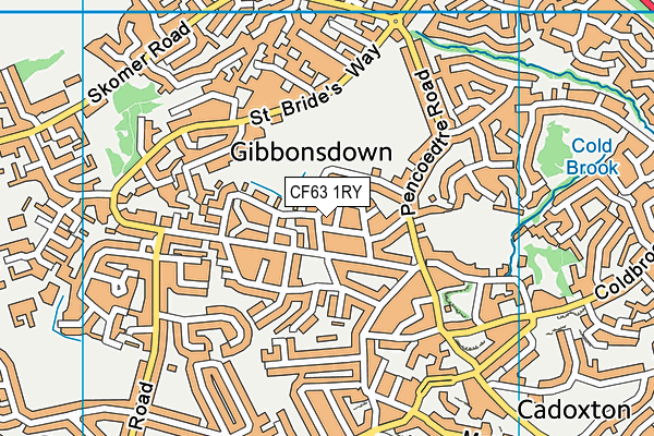 CF63 1RY map - OS VectorMap District (Ordnance Survey)