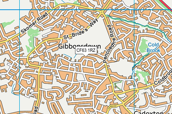 CF63 1RZ map - OS VectorMap District (Ordnance Survey)