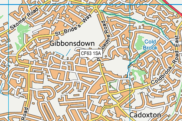 CF63 1SA map - OS VectorMap District (Ordnance Survey)