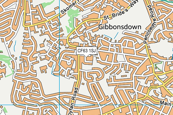 CF63 1SJ map - OS VectorMap District (Ordnance Survey)