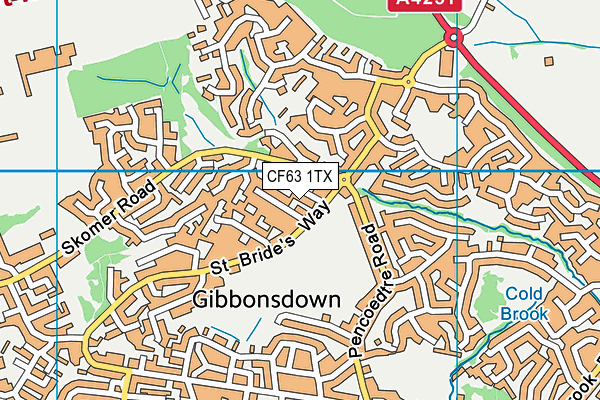 CF63 1TX map - OS VectorMap District (Ordnance Survey)