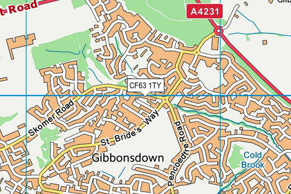 CF63 1TY map - OS VectorMap District (Ordnance Survey)