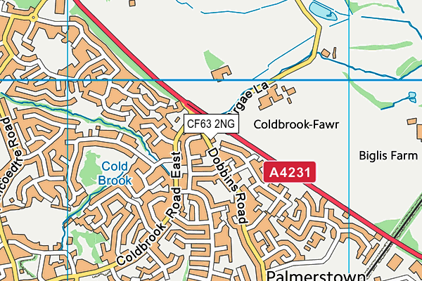 CF63 2NG map - OS VectorMap District (Ordnance Survey)