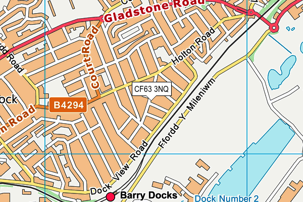 CF63 3NQ map - OS VectorMap District (Ordnance Survey)