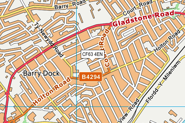 CF63 4EN map - OS VectorMap District (Ordnance Survey)