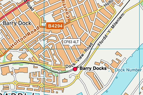 CF63 4LT map - OS VectorMap District (Ordnance Survey)