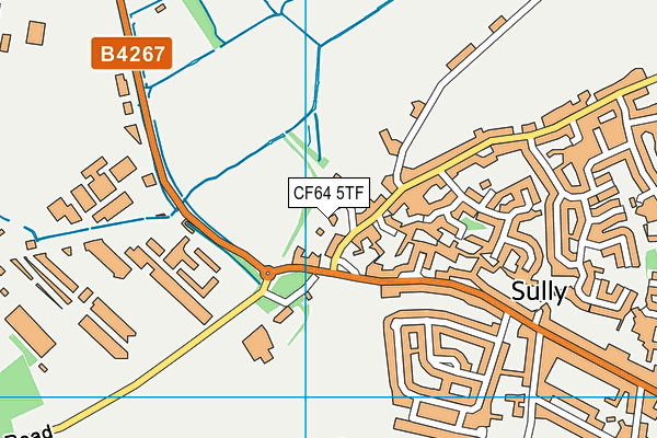 CF64 5TF map - OS VectorMap District (Ordnance Survey)