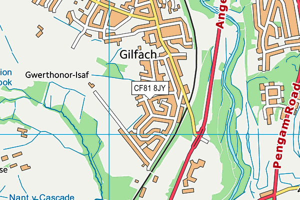 CF81 8JY map - OS VectorMap District (Ordnance Survey)