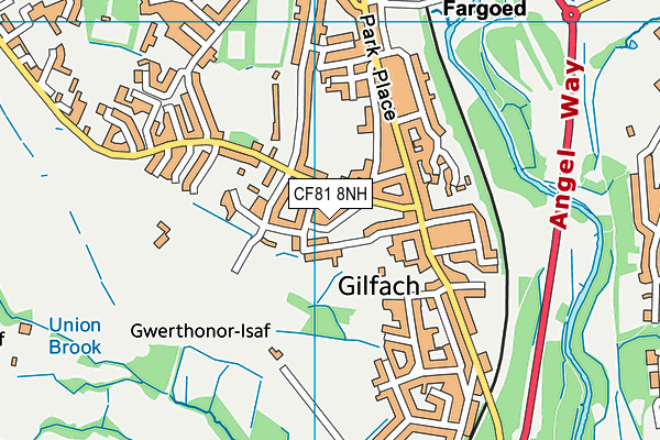 CF81 8NH map - OS VectorMap District (Ordnance Survey)